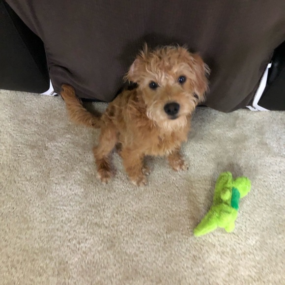 ⚓️Meet your posher, Amy ⚓️ - Picture 9 of 14